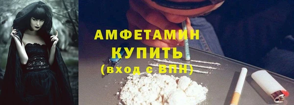прущие грибы Касимов