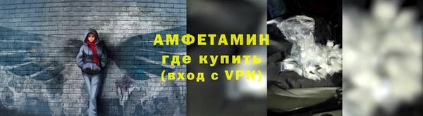 прущие грибы Касимов